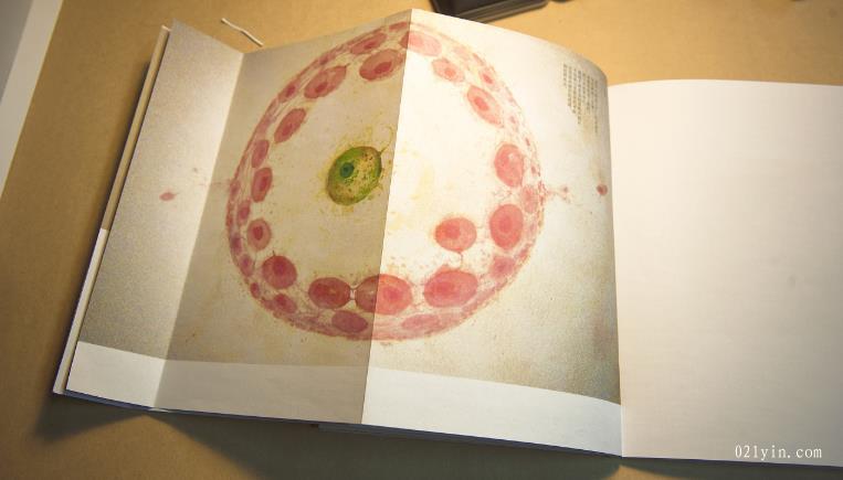 上海印刷公司-什么是重要的公司畫冊設計技巧？  第1張