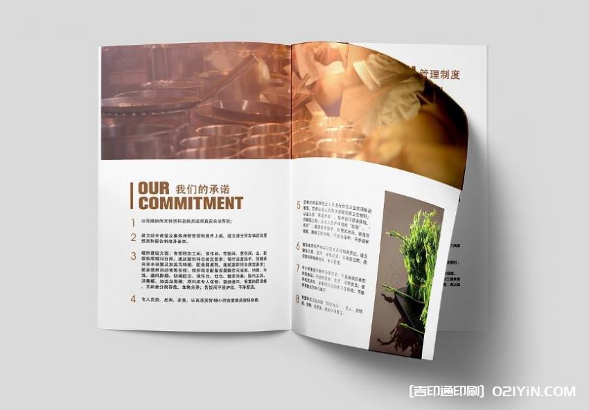 餐飲行業(yè)畫冊(cè)印刷  第2張