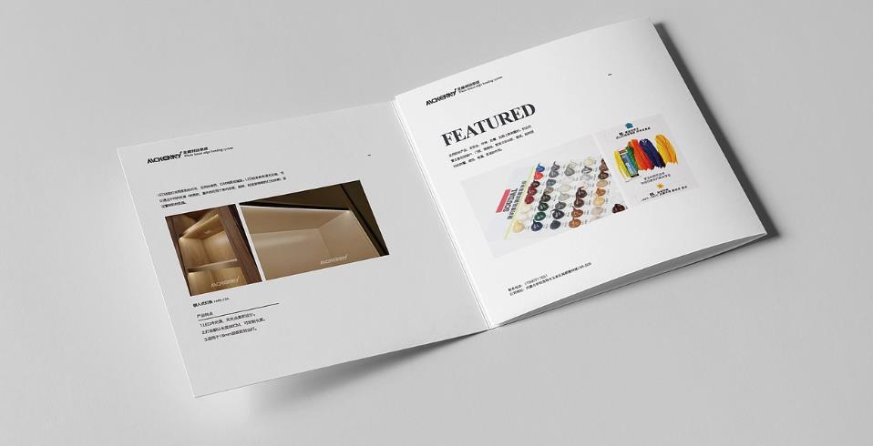 地推 DM 單頁快速印刷 - 24 小時加急出貨